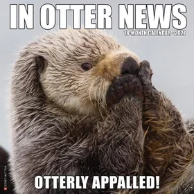Humorous Otter News Calendar 2027