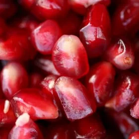 Seed Livets Frö: Från Jordens Mörker till Medvetandets Ljus