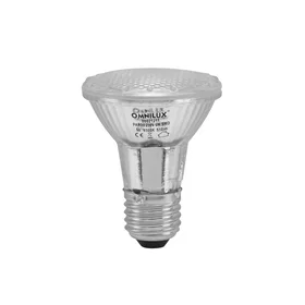 Eurolite PAR-20 Spot silver (PAR-20 230V SMD 6W E-27 LED 6500K)
