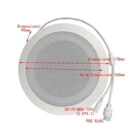 Netgenium ASP6202-POE Projector Speaker