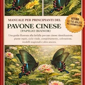 PAVONE Nybörjarguide