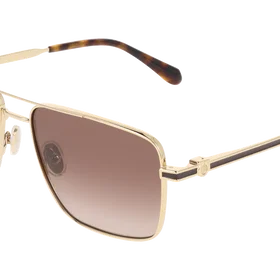 Salvatore Ferragamo SF329SLBI