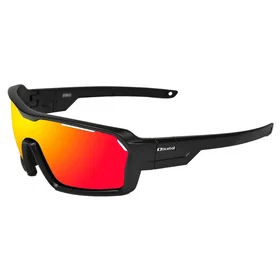 Paloalto Verona Polarized