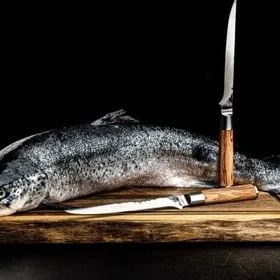 Forged Fillet Knife 18cm