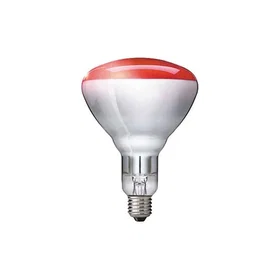 Philips BR125 E27