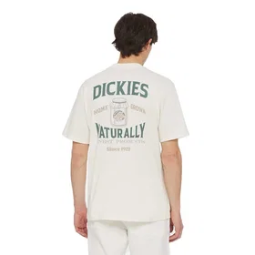 Dickies Elliston Short Sleeve T-shirt (Men's)