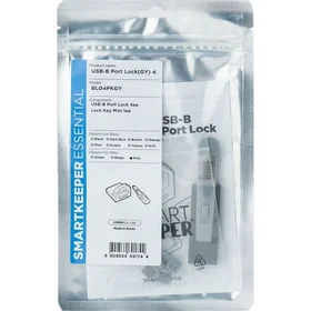Smartkeeper BL04PKGY