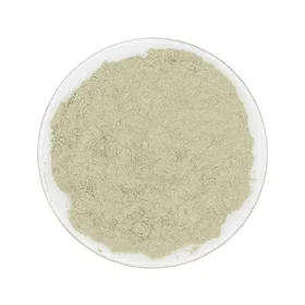 Greenbalance Montmorillonite Lermask 500g