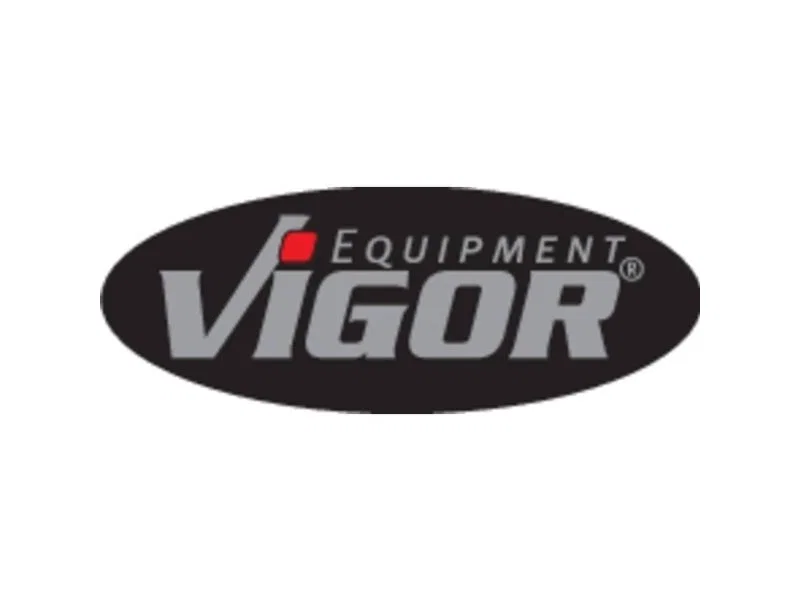 Vigor V6804 Brush