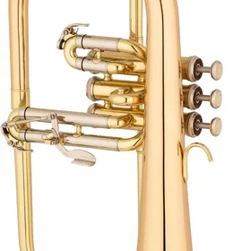 Eastman EFG521G