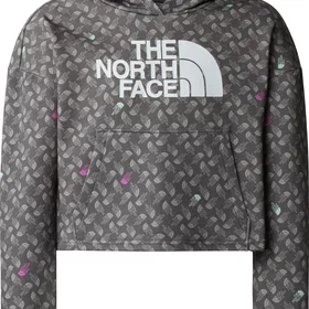 The North Face Light Drew Printed Hoodie (Jr)