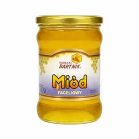Bartnik Sądecki Buckwheat Honey 500g 2-pack