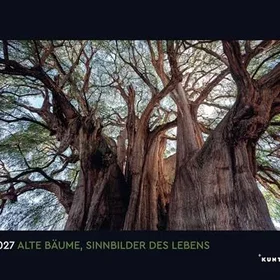 KUNTH Gamla Träd Livets Symboler Väggkalender 2027