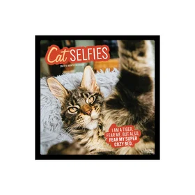 Humorous Cat Selfies Kalender 2027 Firkantet