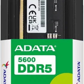 Adata DDR5 Svart 5600MHz 24GB (AD5U560024G-S)
