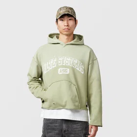 Alte Analog Hoodie (Men's)