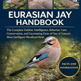 EURASIAN JAY HANDBOOK