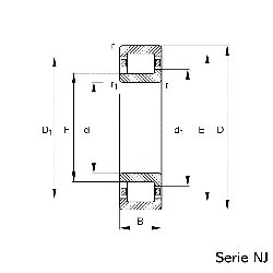 Schaeffler Hjullagersats NJ2211-E-TVP2
