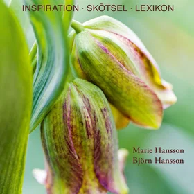 Babel Cookbook