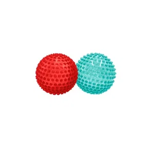 Edushape Sensory Ball 19043