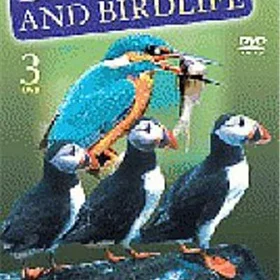 British Birds: Volume 1, 2 And 3 (DVD)