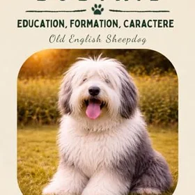 Bobtail Utbildning Formning Karaktär av Old English Sheepdog