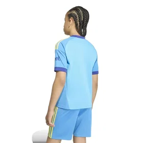 Adidas Arsenal Fc 26/27 Målvakt Borta Tröja (Jr)