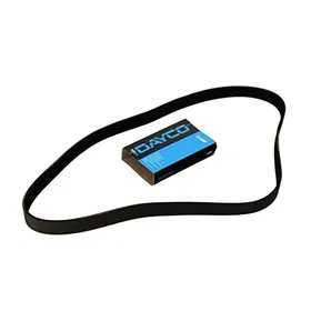 Dayco 7PK1095 Ceinture à Nervures