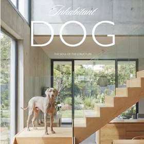 Inhabitants Dog Aesthetic Interior Design Magazine