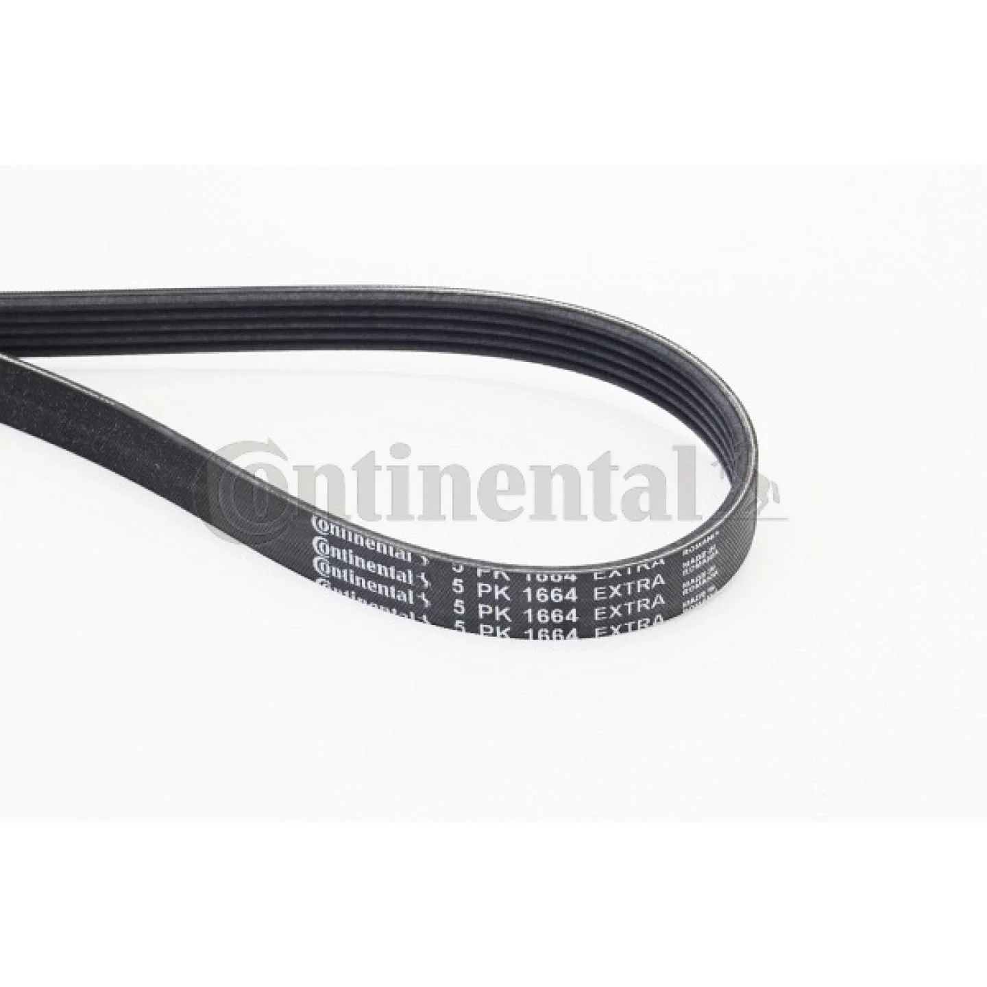 CONTITECH 5PK1664 EXTRA Belt