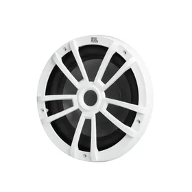 JBL Marine 10"