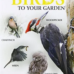 How To Attract Birds To Your Garden Summer (DVD)