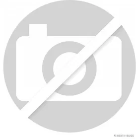 Herth+Buss Flywheel Gasket J1091033