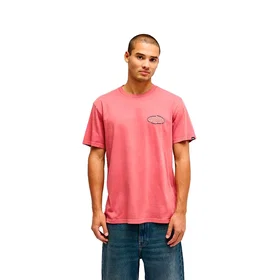 Quiksilver Eswell Squad Kortärmad T-shirt Slate Rose (Herr)