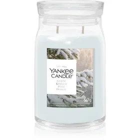 Yankee Candle Snow Kissed Pine Scented Candle 567g