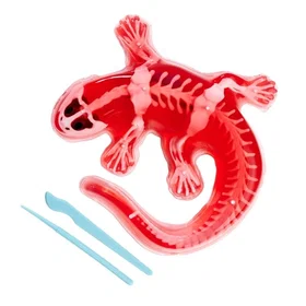 Simba Scout Dissect-It Salamander Vitenskap & Utforskningssett 109452704