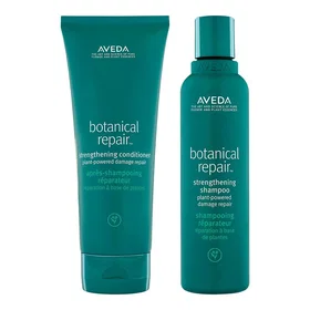 Aveda Botanical Repair Stärkande Mini Duo Hårvårdsset