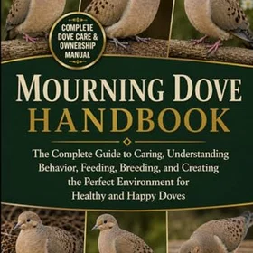 Mourning Handbook