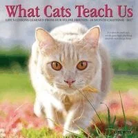 Wlcp What Cats Teach Us Mini Kalender 2027