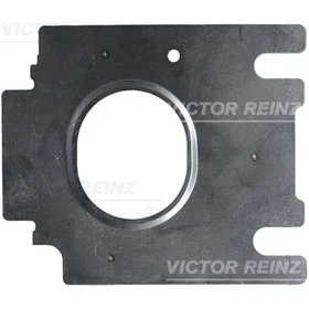 REINZ Pakning 71-17630-00