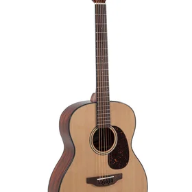Applause AAO96-4 Orchestra Model