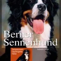 Pegasus Berner Sennenhund