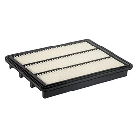 Oem Marine luftfilter system 3818541