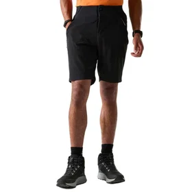 Dare 2B Torrek Lite Hiking Shorts (Men's)