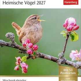 Harenberg Inhemska fåglar Veckoplanerare 2027