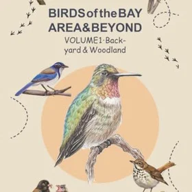 Birds of the BAY AREA & BEYOND: VOLUME 1