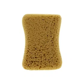 Carlinea svamp Brun 1 pc(s)