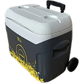 Powershot Coolbox TA387 28L