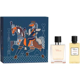 Hermes Terre d’ Eau de Toilette Presentförpackning för män