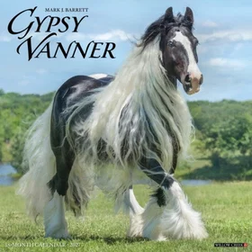 Gypsy Hest Veggkalender 2027